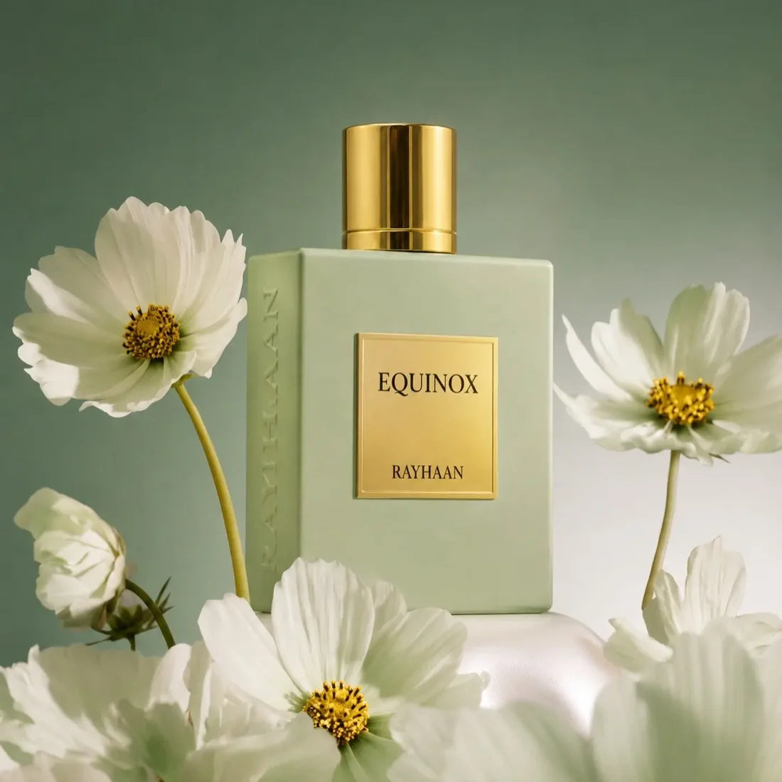 Rayhaan Equinox 100ml perfume bottle in matte sage green with a gold cap and label, surrounded by white cosmos flowers.