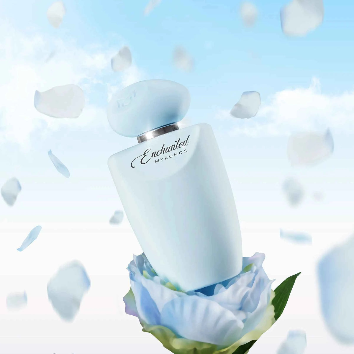 Enchanted EDP 50ml/100ml