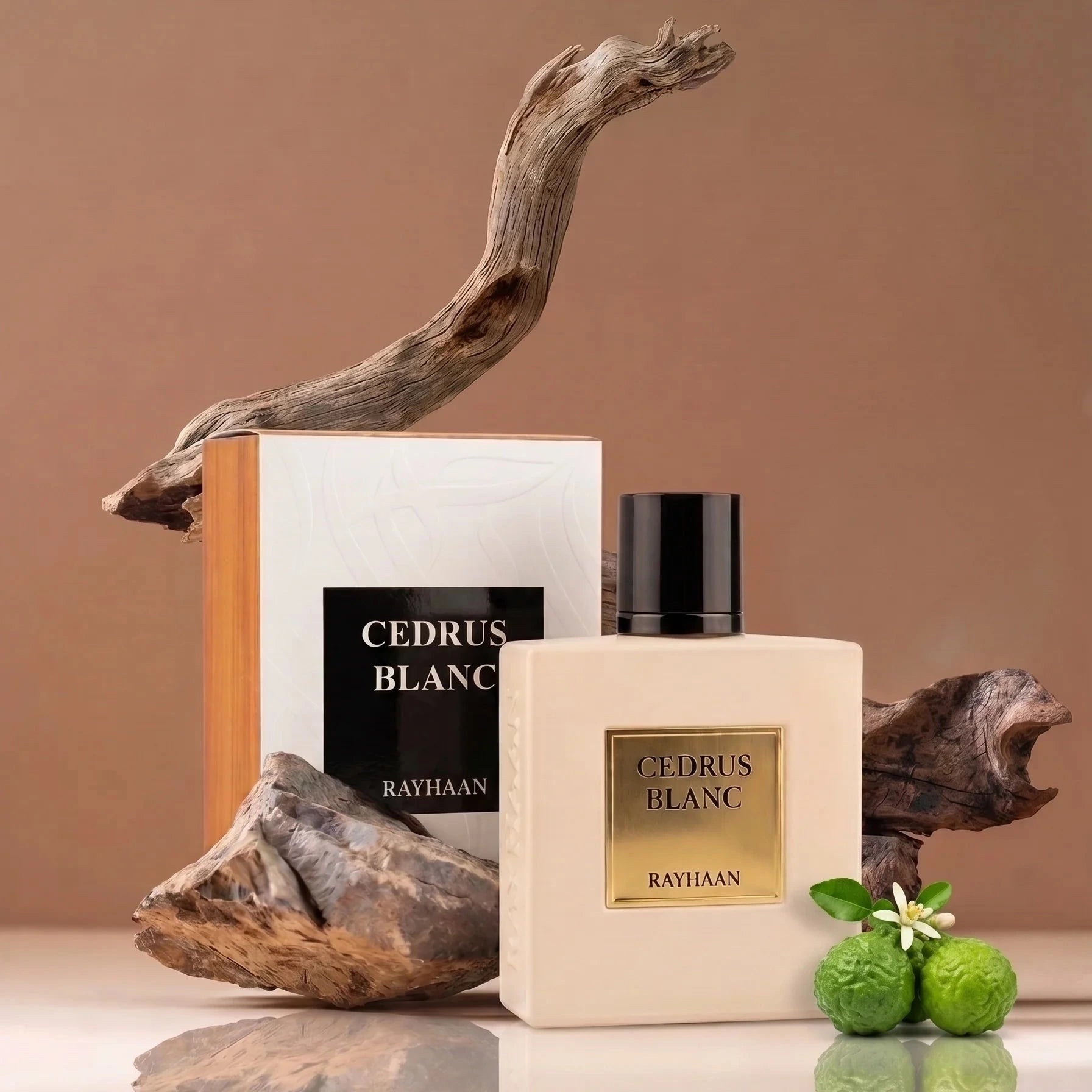 Rayhaan Cedrus Blanc EDP 100ml - Rayhaan - Fragrance Forte