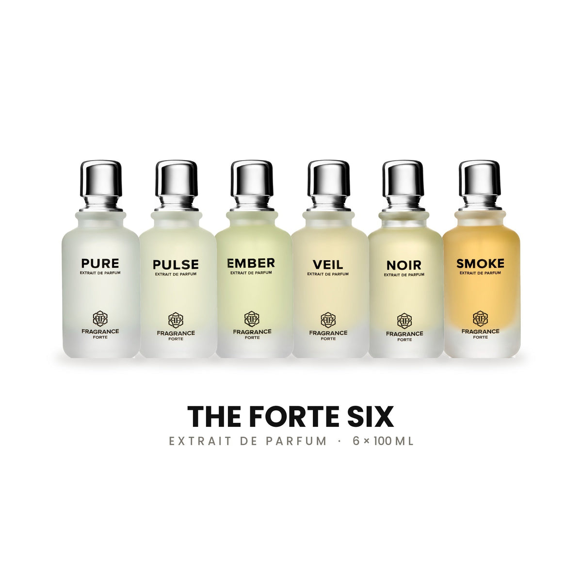 The Forte Six - Fragrance Forte