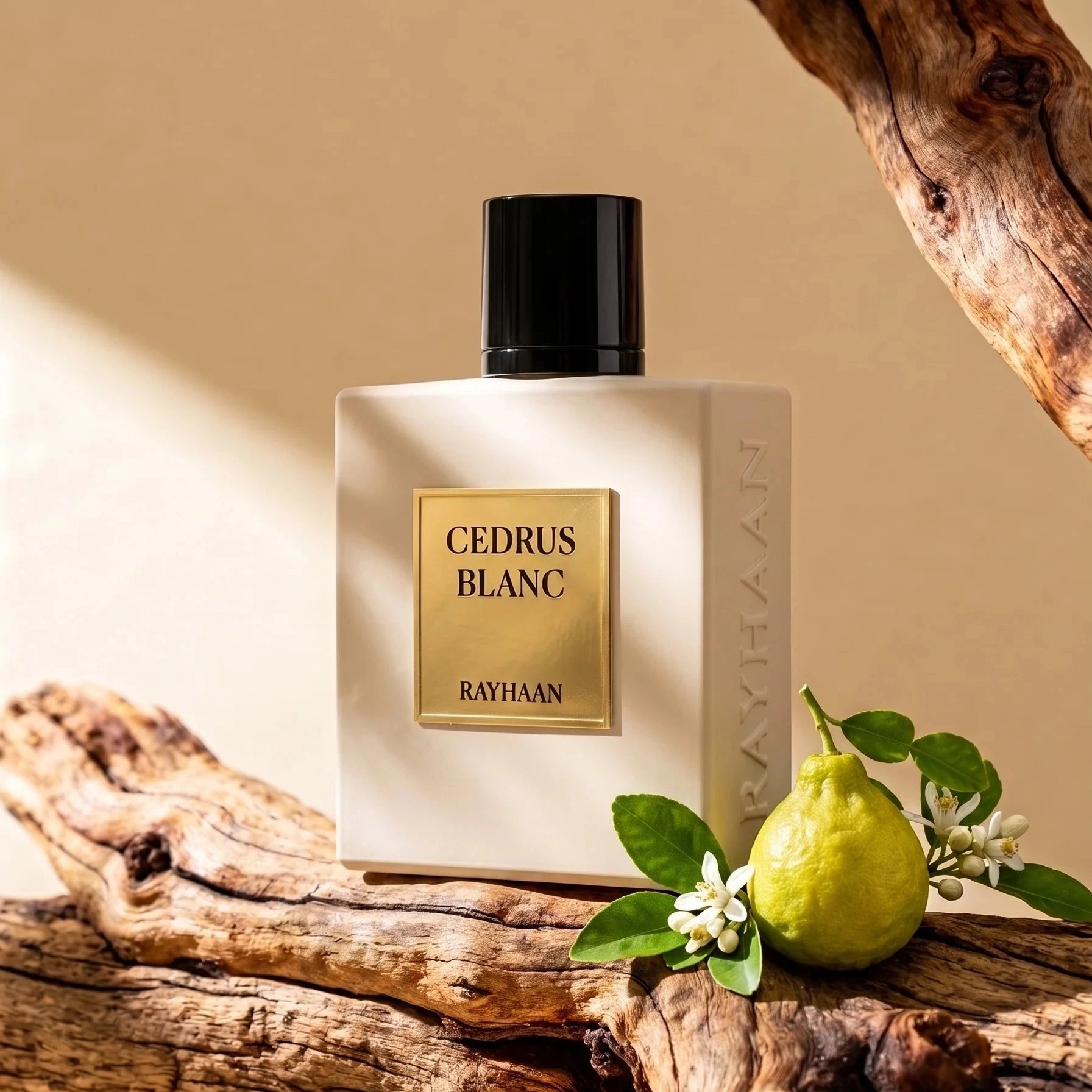 Rayhaan Cedrus Blanc EDP 100ml - Rayhaan - Fragrance Forte