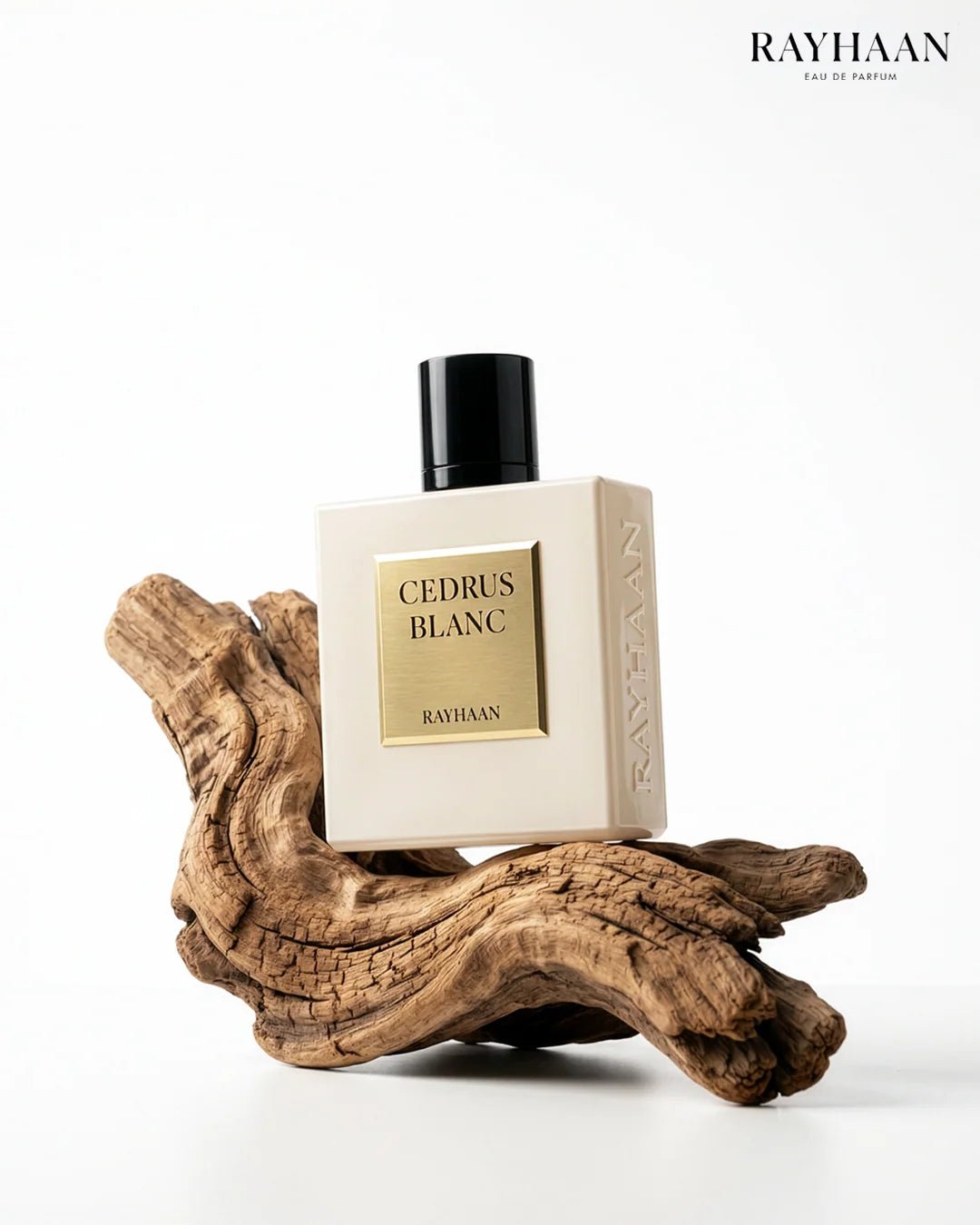 Rayhaan Cedrus Blanc EDP 100ml - Rayhaan - Fragrance Forte